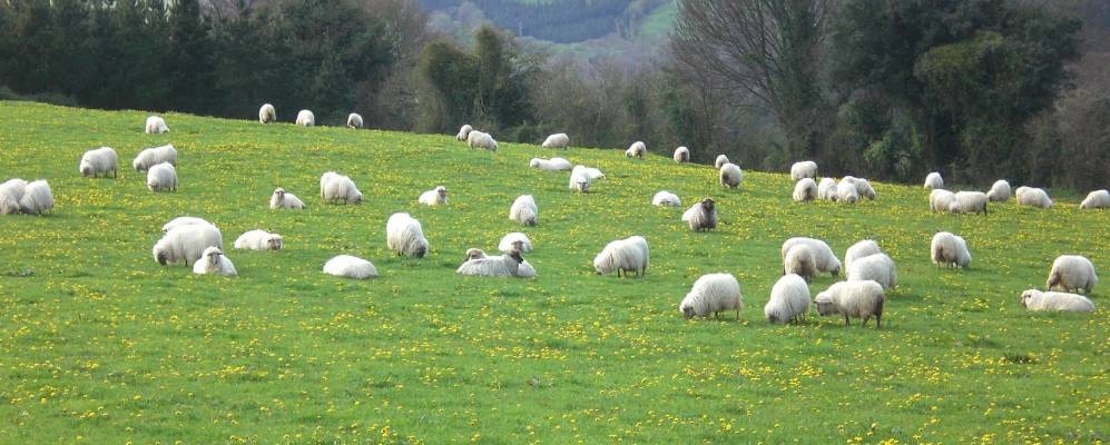 
            Фотография Уррестьеты