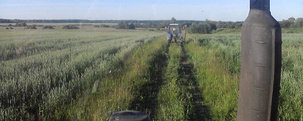 
            Фотография Башево