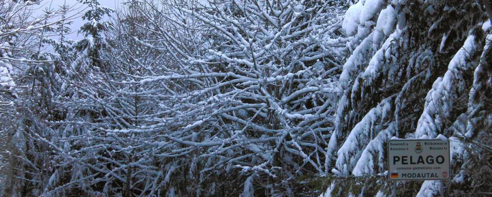 
            Фотография Консумы