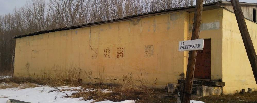 
            Фотография Кочкорово