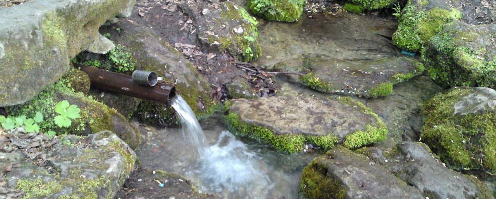 
            Фотография Рая