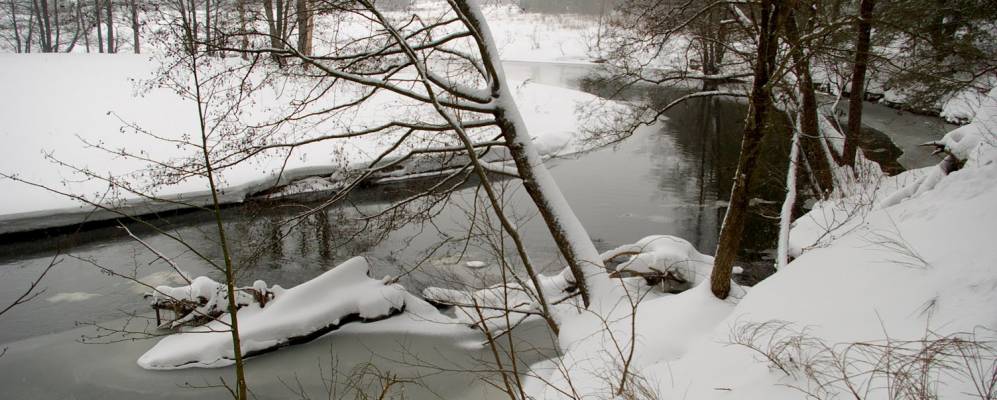 
            Фотография агрогородка Субботники