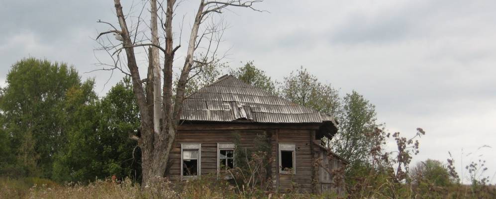 Фотография Овчат