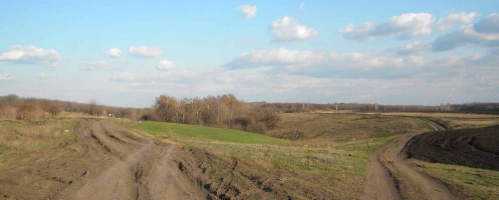 
            Фотография Неждановки