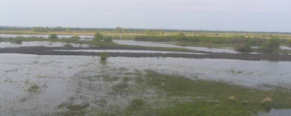 
            Фотография деревни Гривковичи