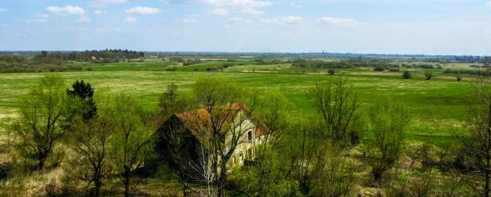 
            Фотография Левобережного