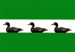 Флаг Фалештов