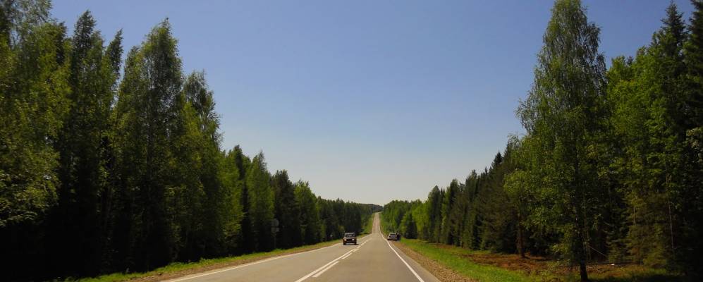 
            Фотография Нелюбинцев