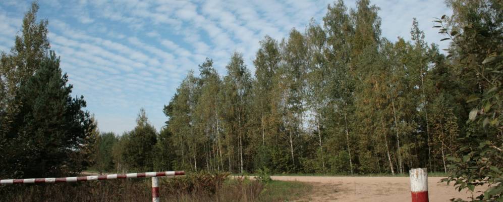 Фотография Гончи