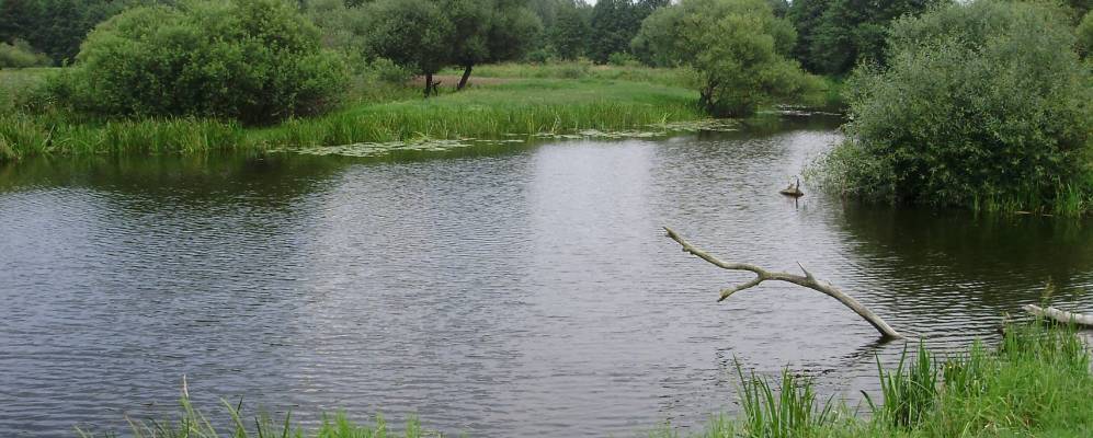 Фотография Свободы