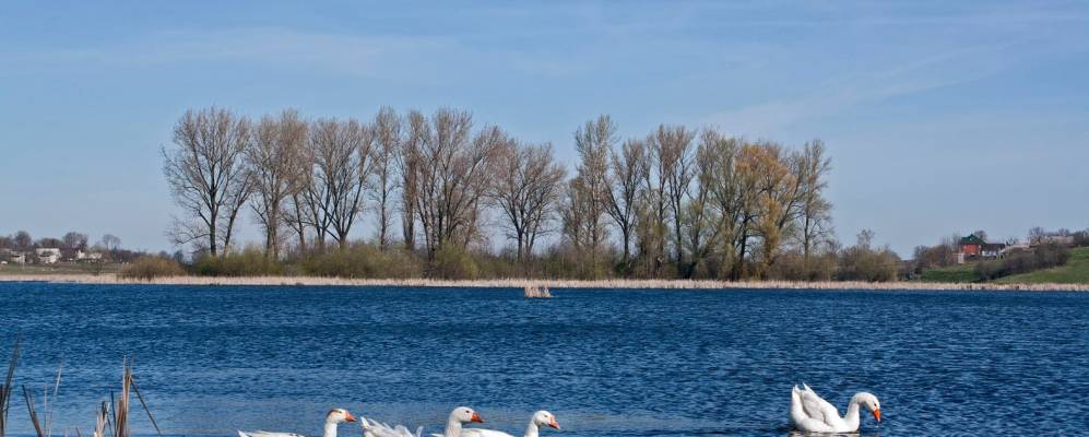 
            Фотография Захаровцы