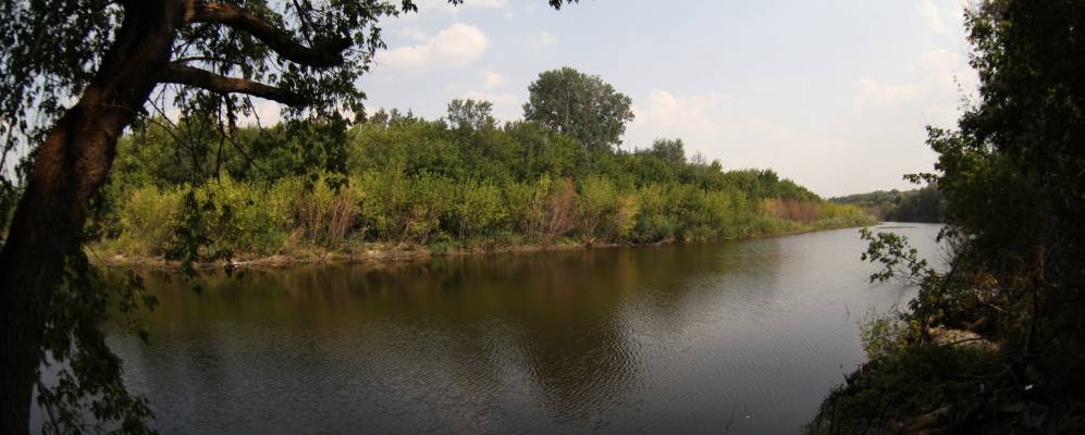 
            Фотография Паники