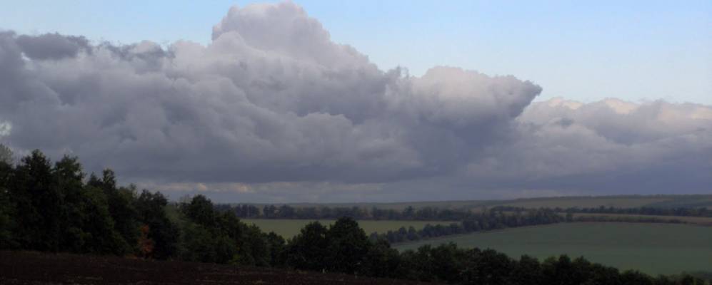 
            Фотография Сенного