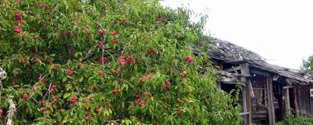 Фотография Мормыша