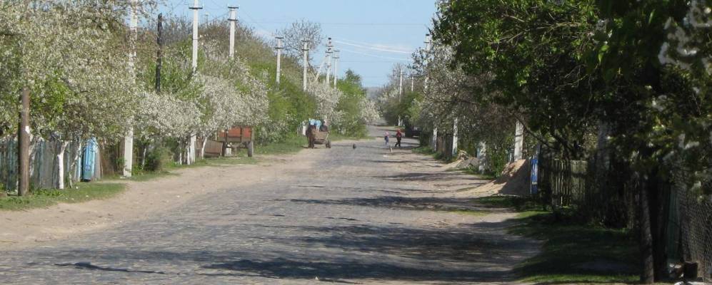 
            Фотография Лишни