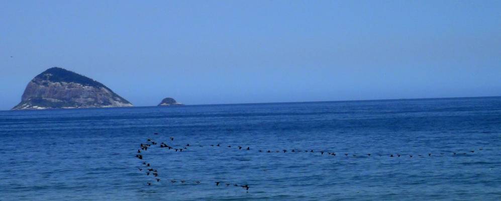 Фотография Сау Конраду