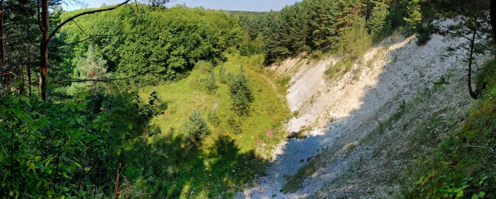 
            Фотография Нового Кокорева