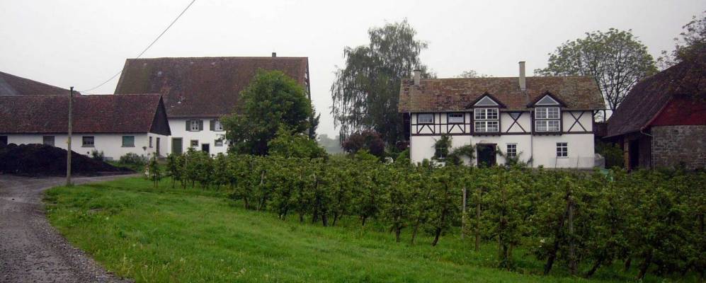 
            Фотография Фрикинген