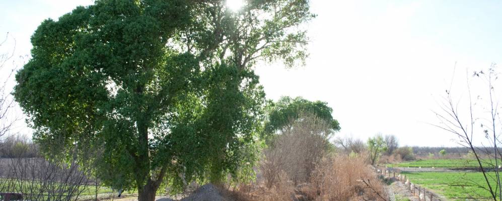 
            Фотография Хименеса