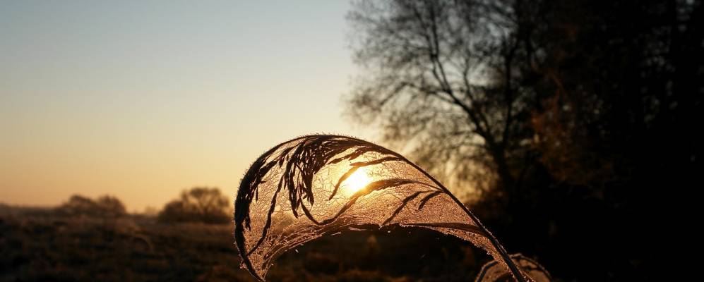 Фотография Побережья