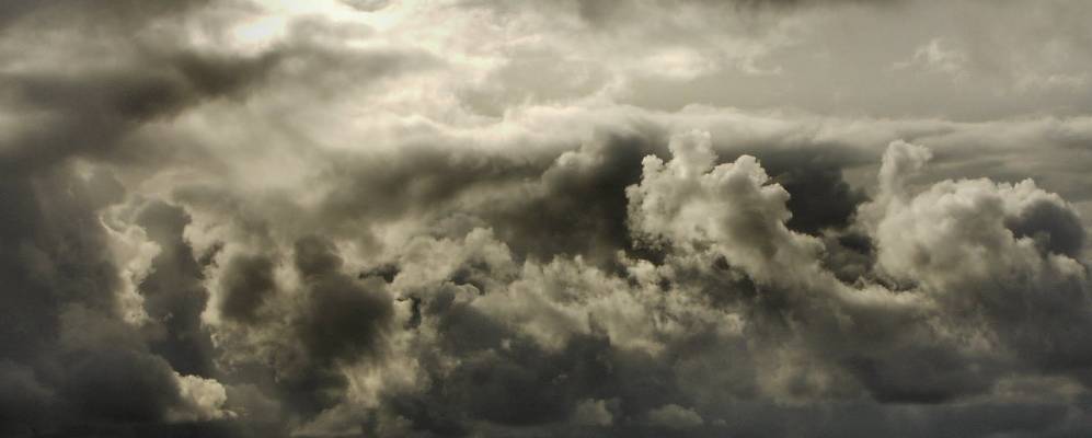 Фотография Дент