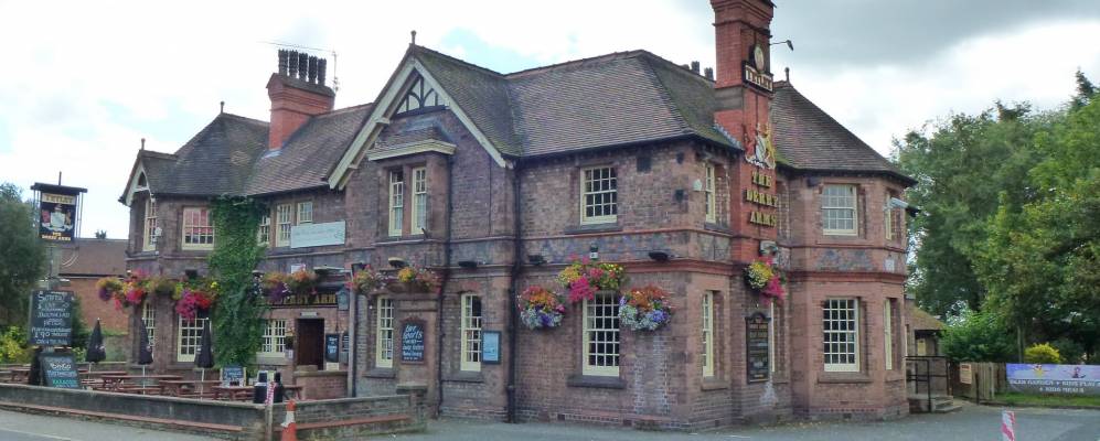 
            Фотография Ноусли