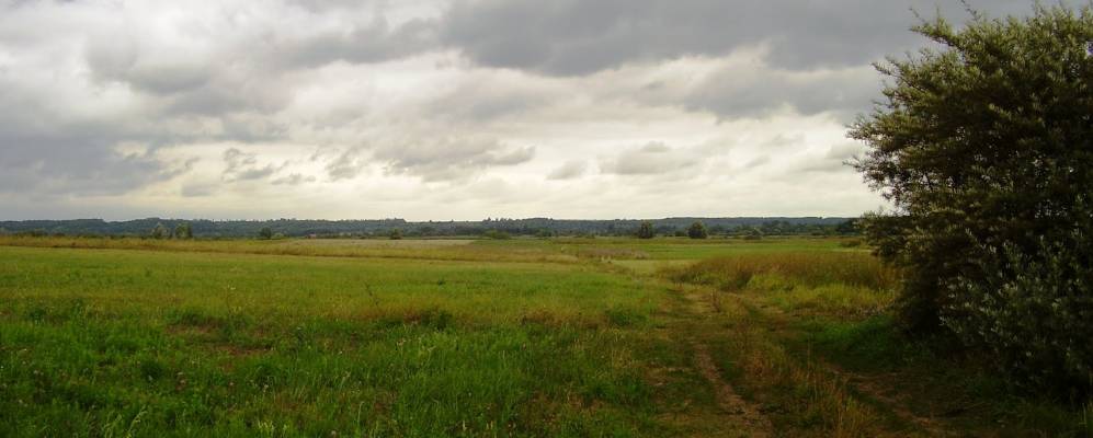 
            Фотография Карпиловки