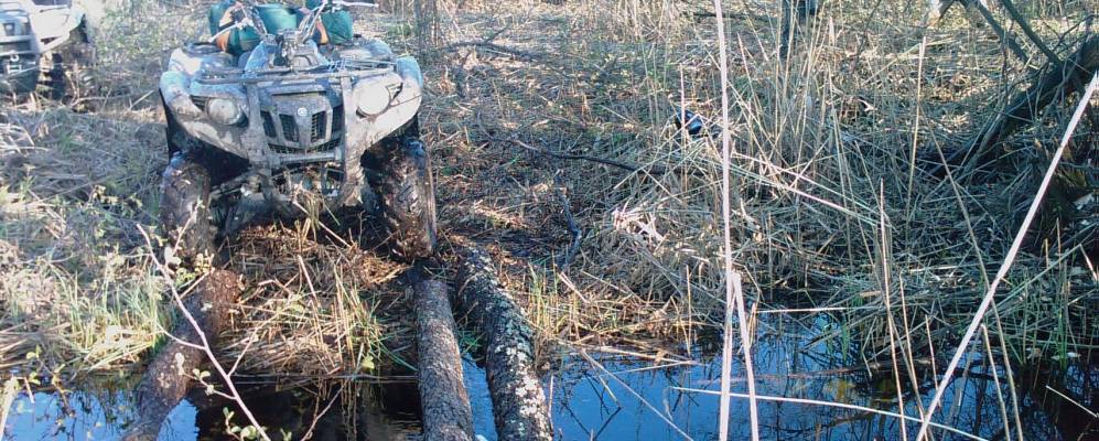 
            Фотография Макарихи