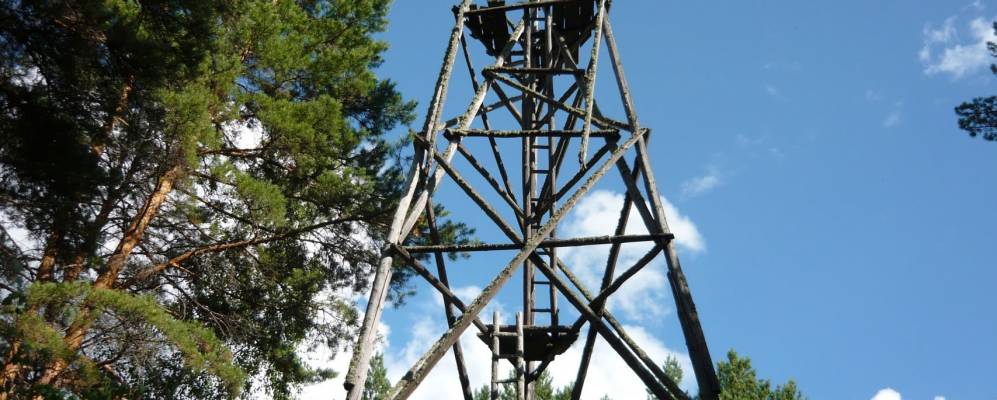 
            Фотография Ильинки