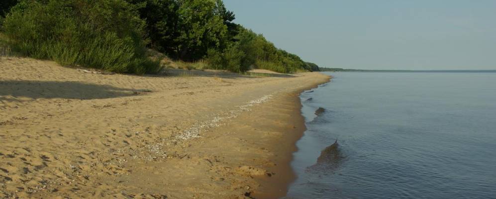 
            Фотография Ремнику