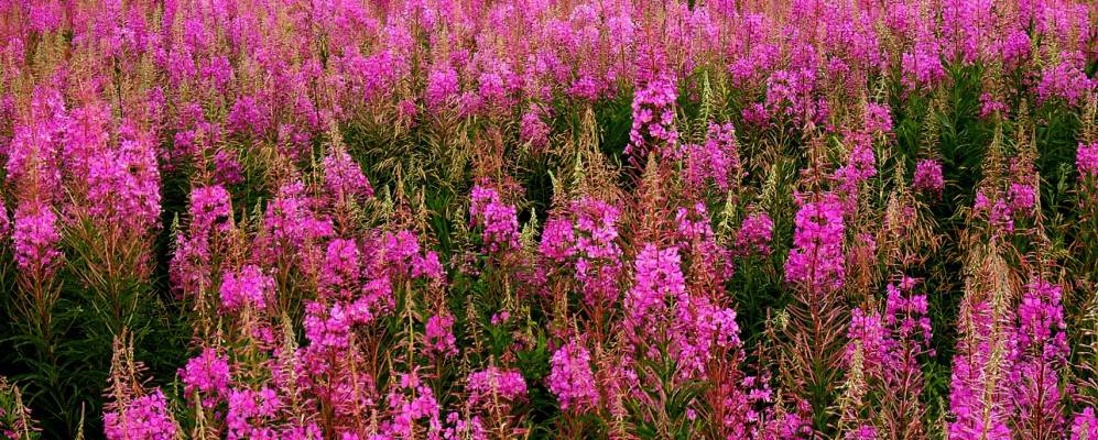 Фотография Самодуровки