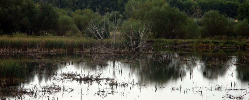
            Фотография Кошелевки