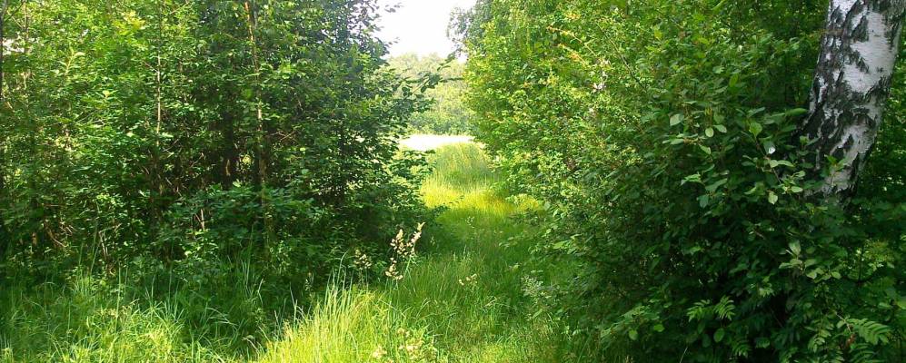 
            Фотография деревни Матеевичи