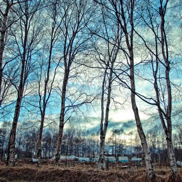 Октябрьский