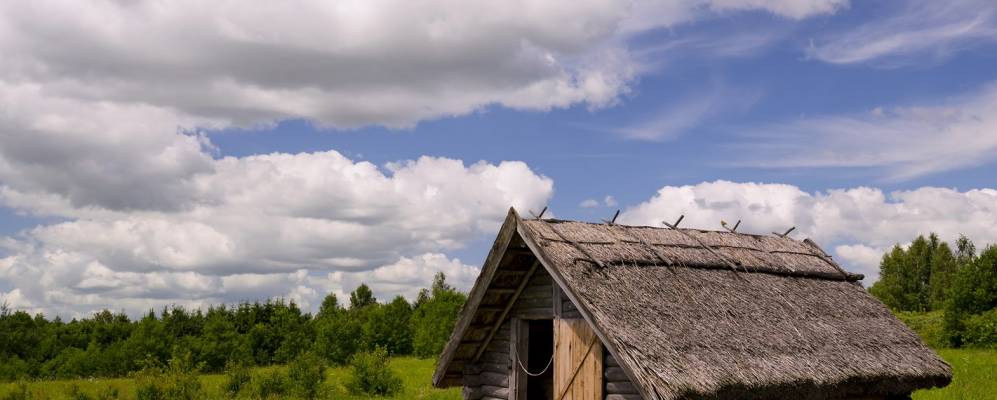 
            Фотография Строчицы