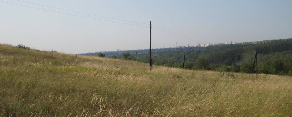 Фотография Муравлево