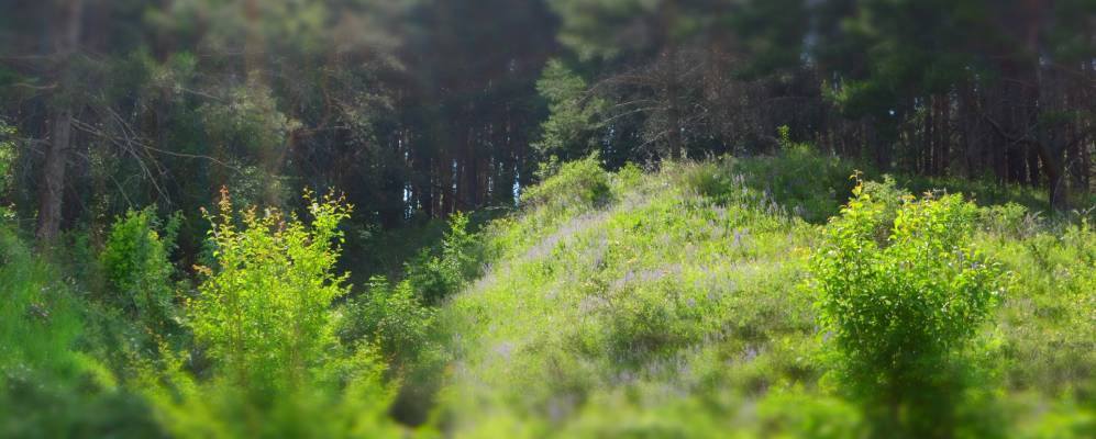 
            Фотография Сорокино