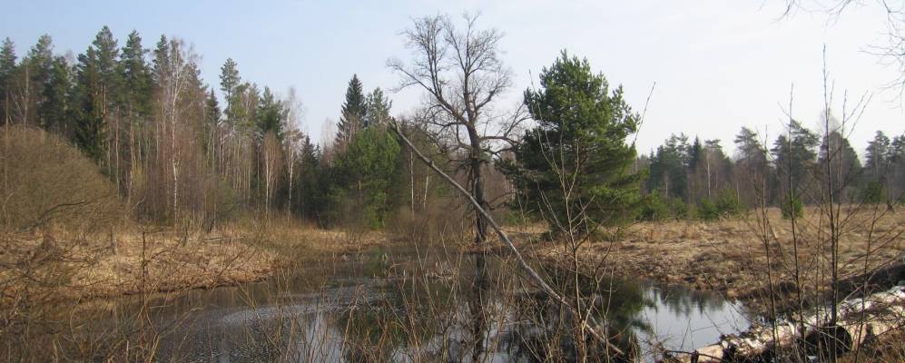 
            Фотография Починка