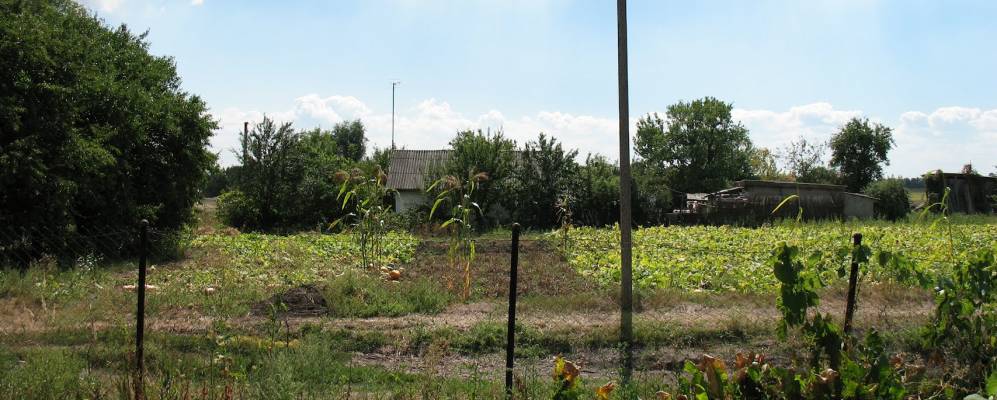 
            Фотография Пилипенки