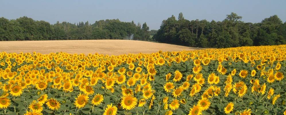 
            Фотография Эру