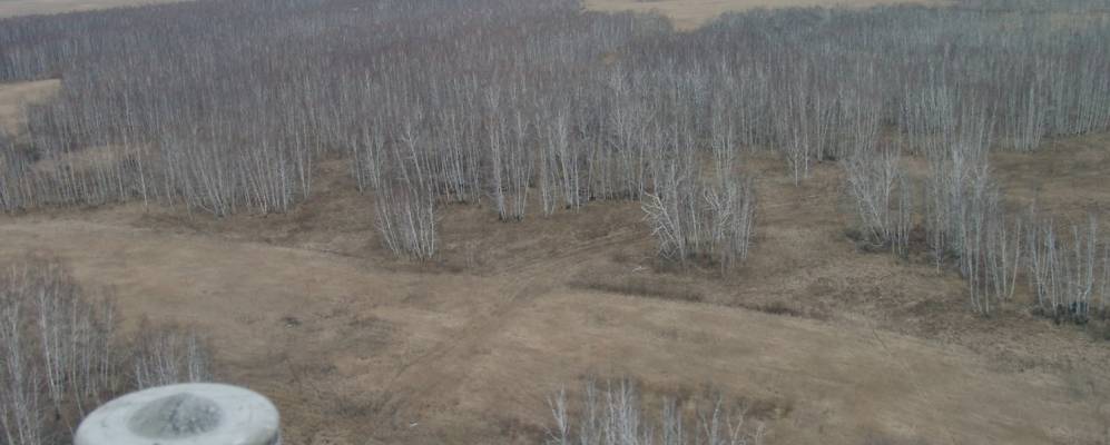 
            Фотография Новолузино