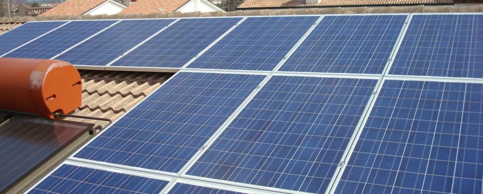 
            Фотография Корнуды