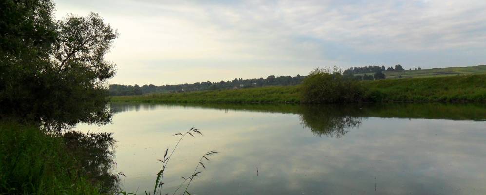 Фотография Крутнева