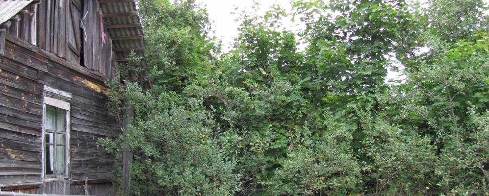 
            Фотография Гришанова