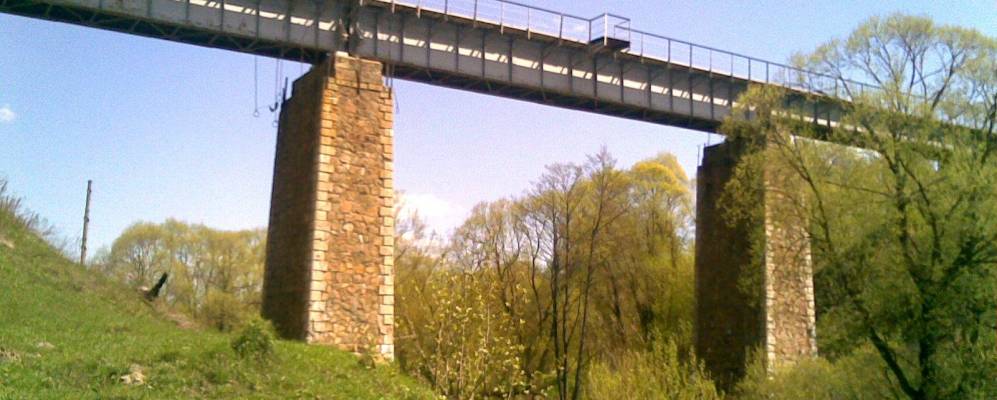 
            Фотография Газуков