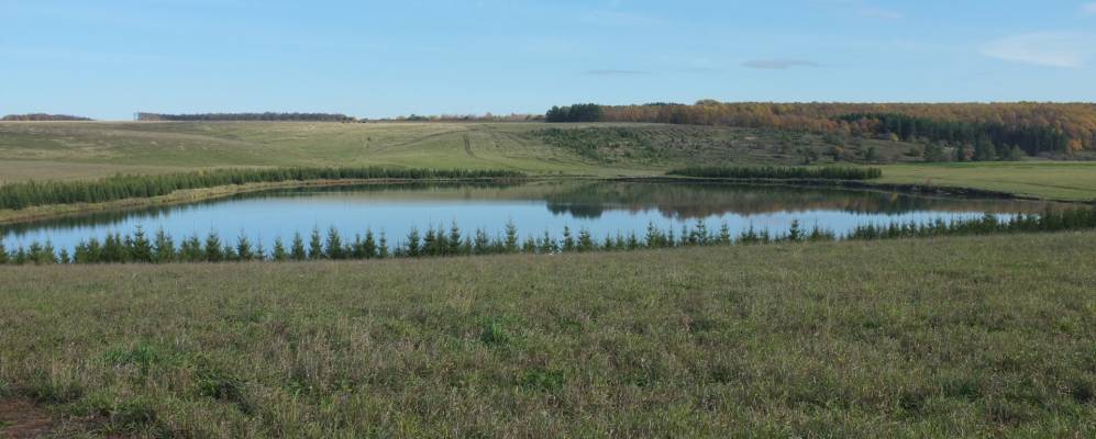 Фотография Синькасов