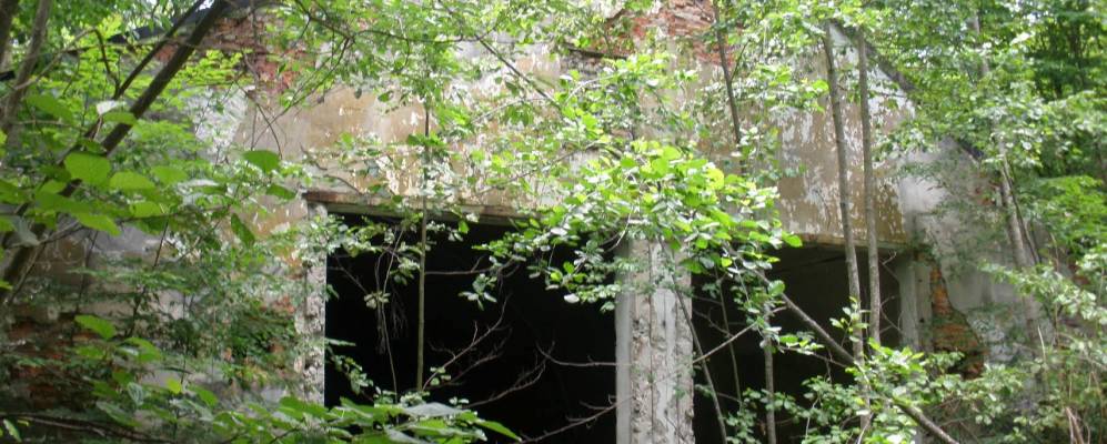 
            Фотография Топильни