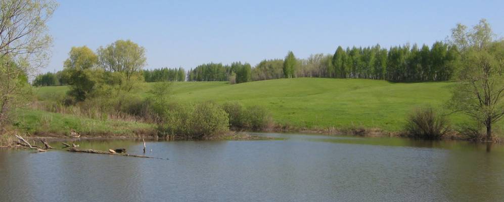 
            Фотография Культуры