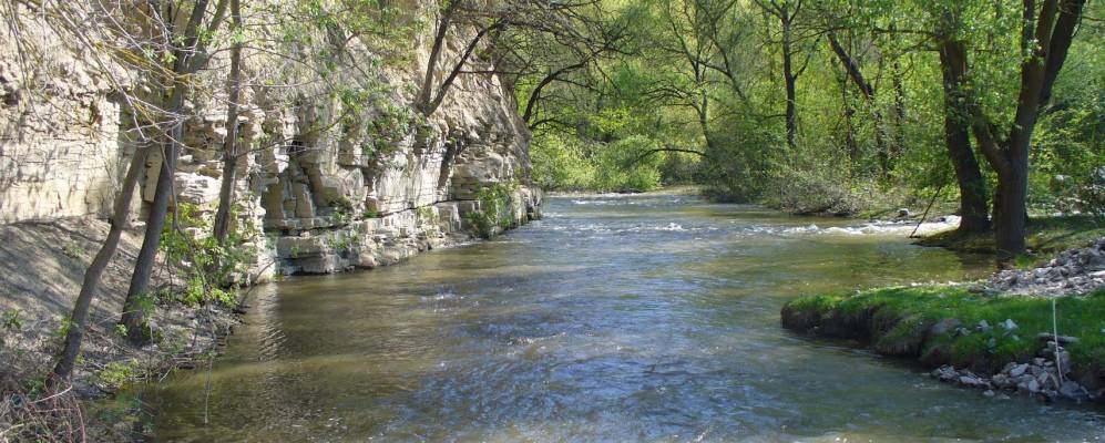 
            Фотография Киселевки