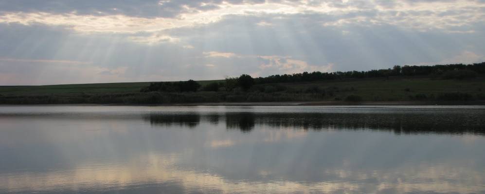 
            Фотография Дубовики